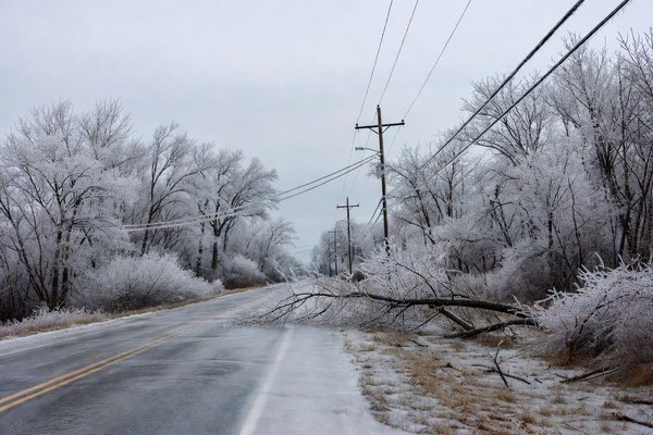 A rural Kentucky road under heavy ice, power lines sagging under the weight