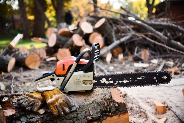 A chainsaw and heavy work gloves set down on a cut log after a storm