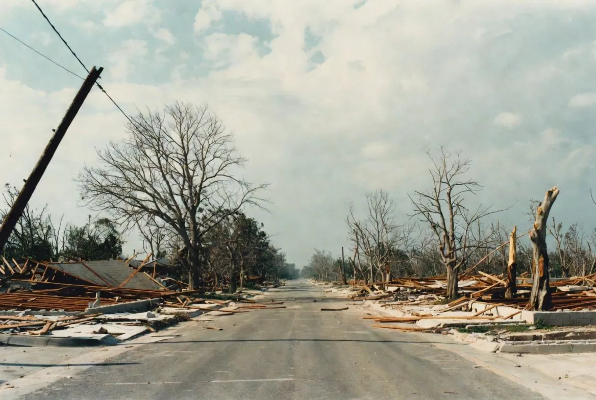 A residential street stripped bare after a catastrophic hurricane, with concrete slabs and debris where houses stood and every tree broken and leafless