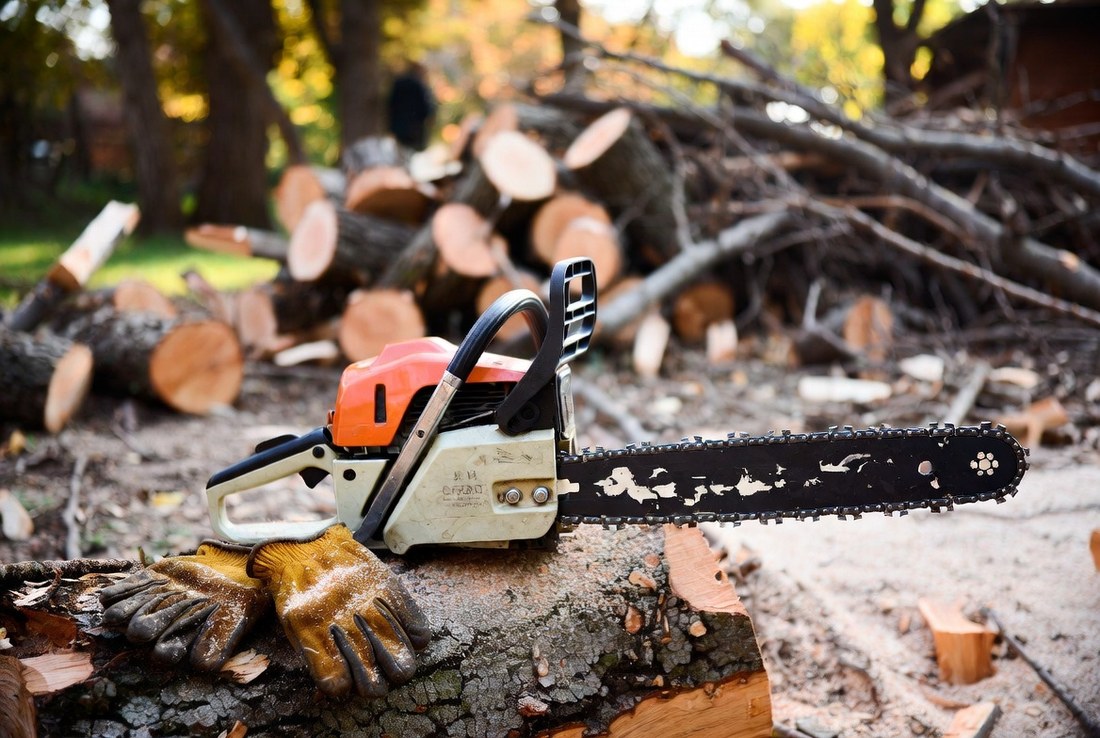 A chainsaw set down on a cut log beside a pair of heavy leather work gloves, sawdust on both, cut rounds and limbs stacked behind in autumn light