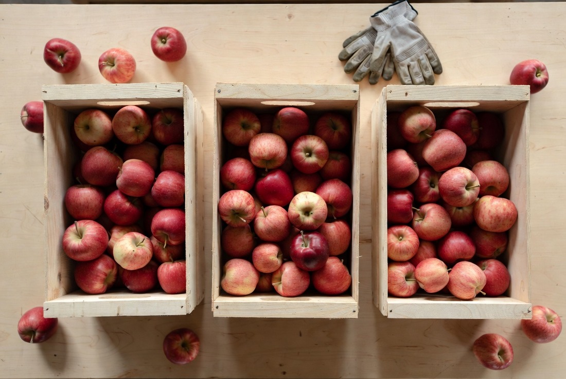 Three wooden crates of red apples side by side on a pale wooden table seen from above, holding roughly equal amounts, with a pair of worn work gloves beside them