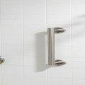 Vertical grab bar at shower entry
